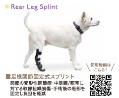 rearleg-splint